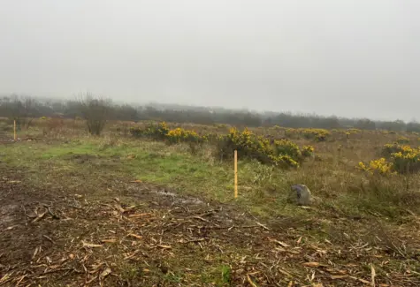 Original site