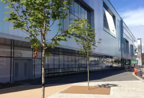 Close up finished area jpg