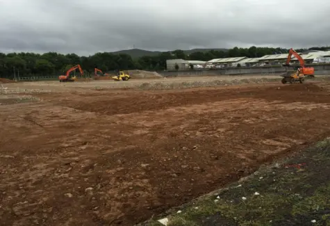Preparing site JPG