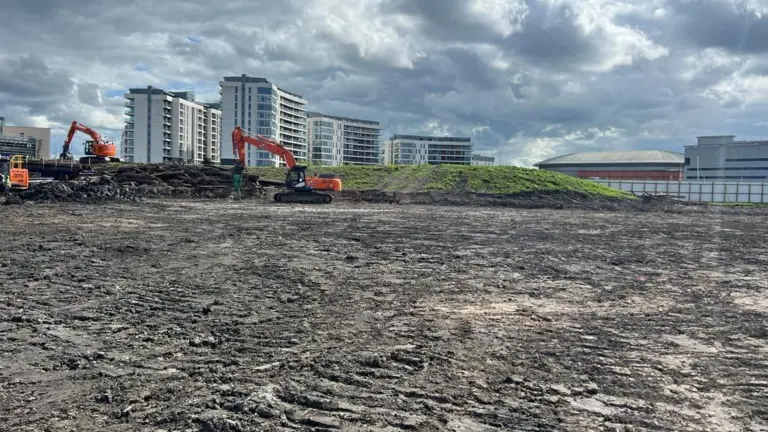 stripping site