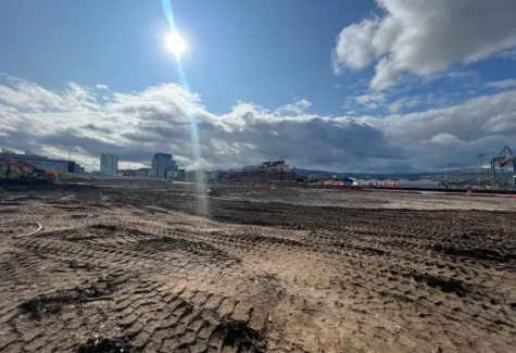 Cleared site