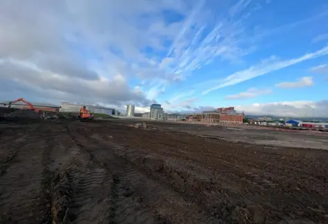 Cleared site