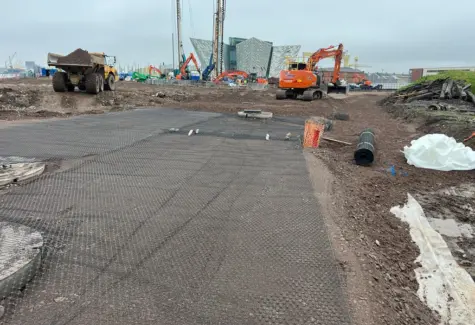 Geogrid for stone